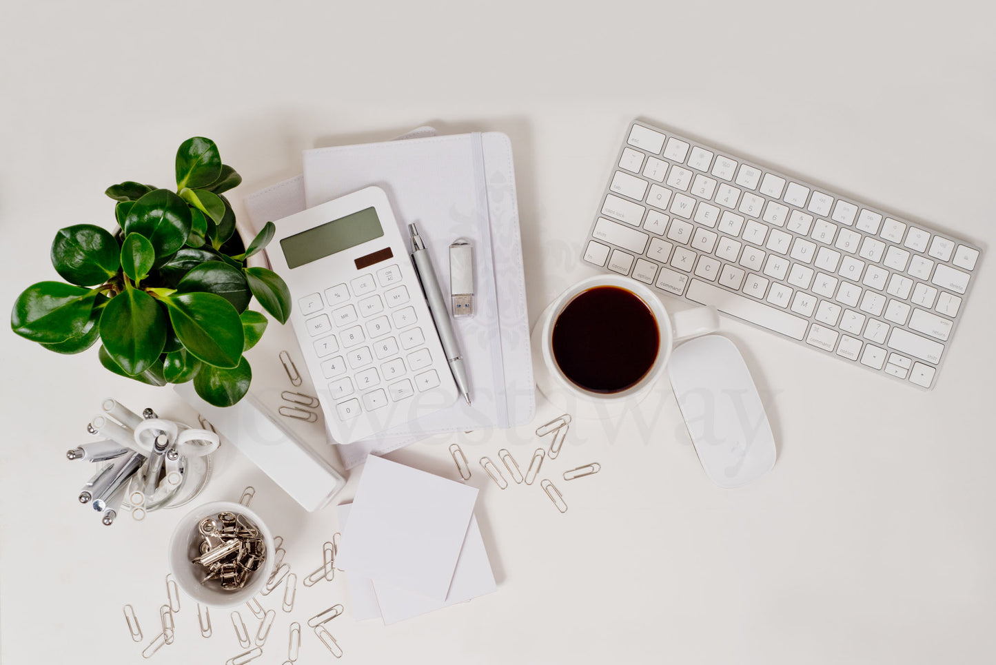 Jo Westaway stock: 190317-021