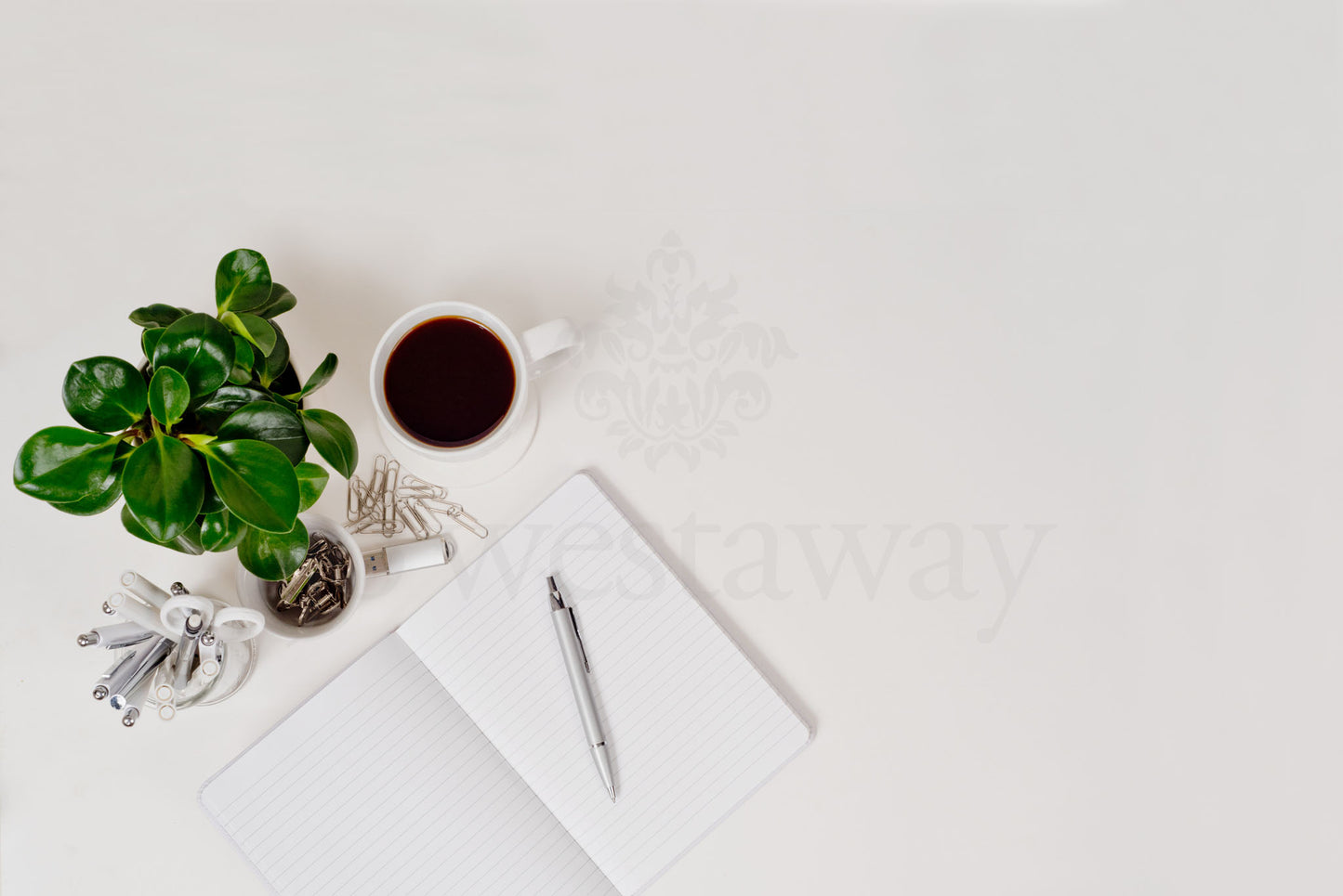 Jo Westaway stock: 190317-022