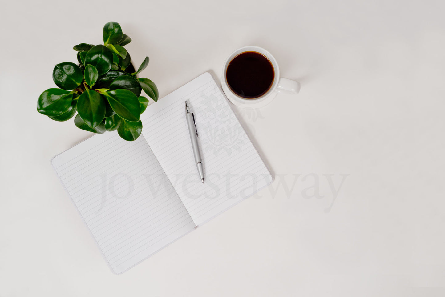 Jo Westaway stock: 190317-023