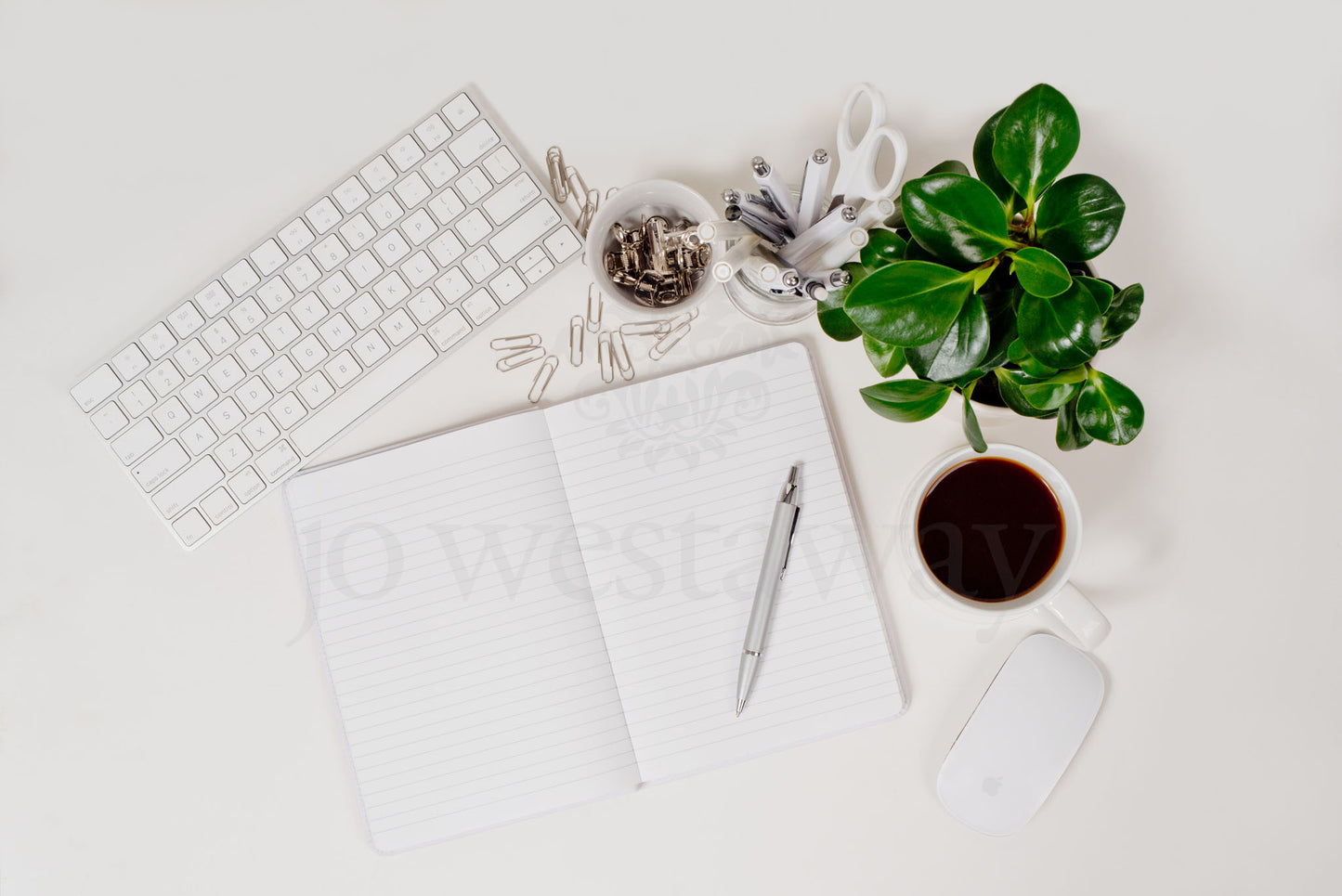 Jo Westaway stock: 190317-031