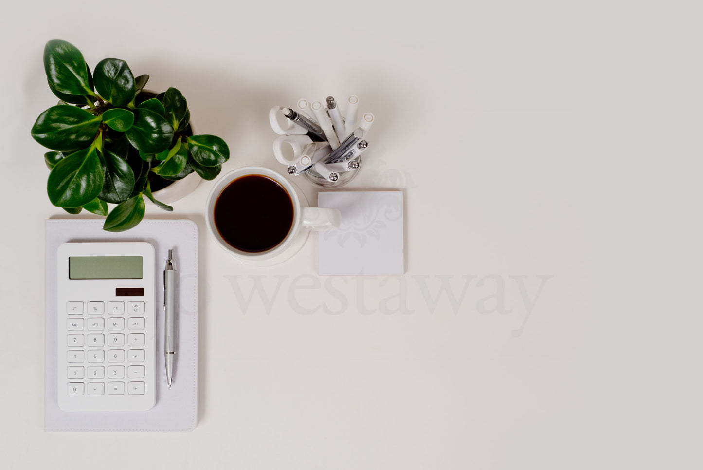 Jo Westaway stock: 190317-051