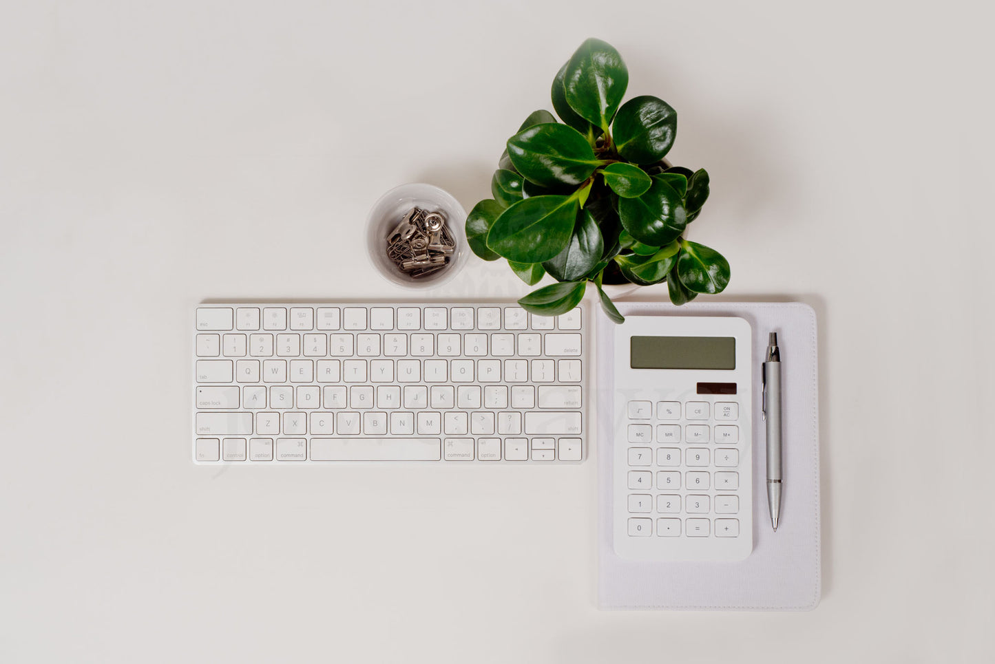 Jo Westaway stock: 190317-054