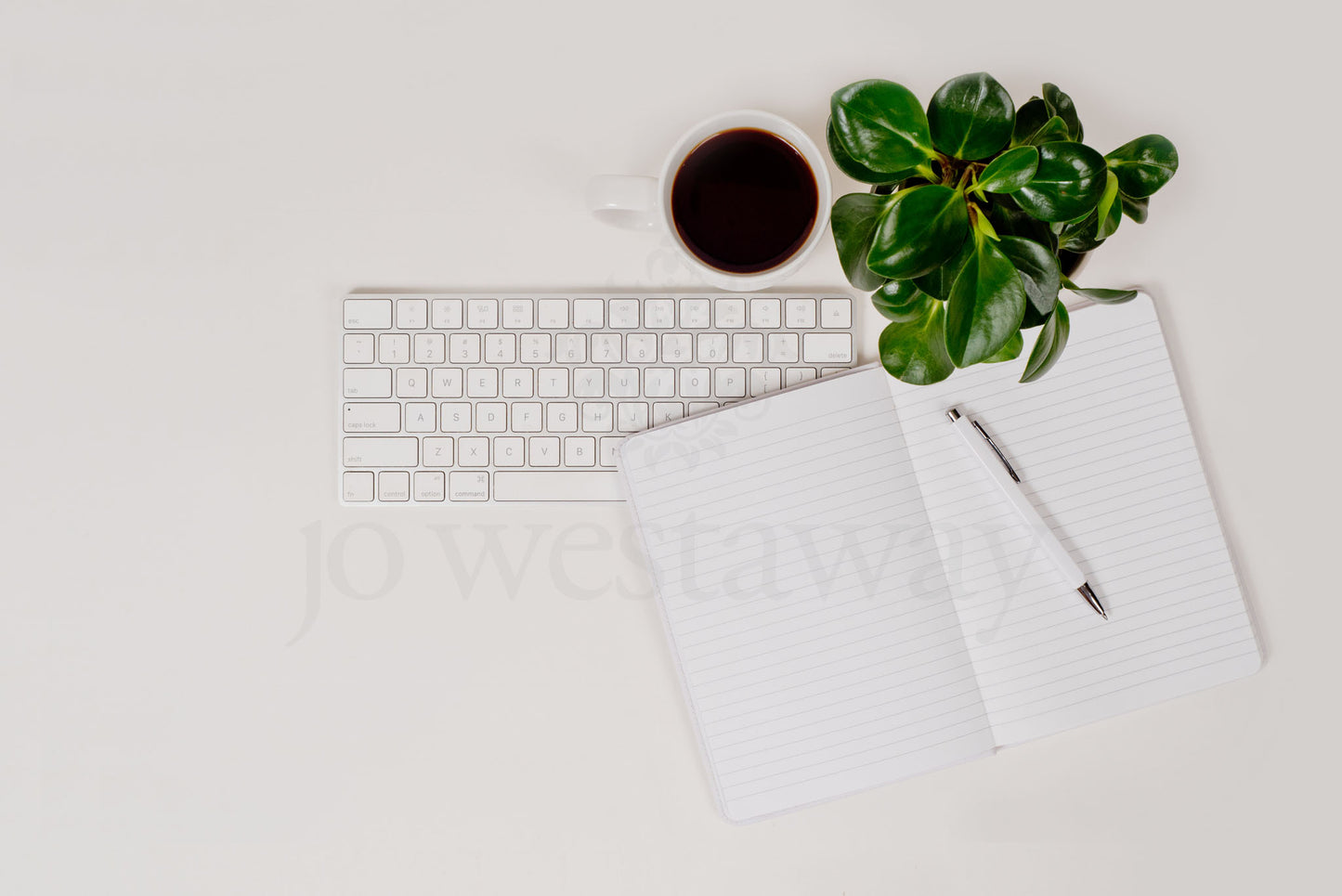 Jo Westaway stock: 190317-063