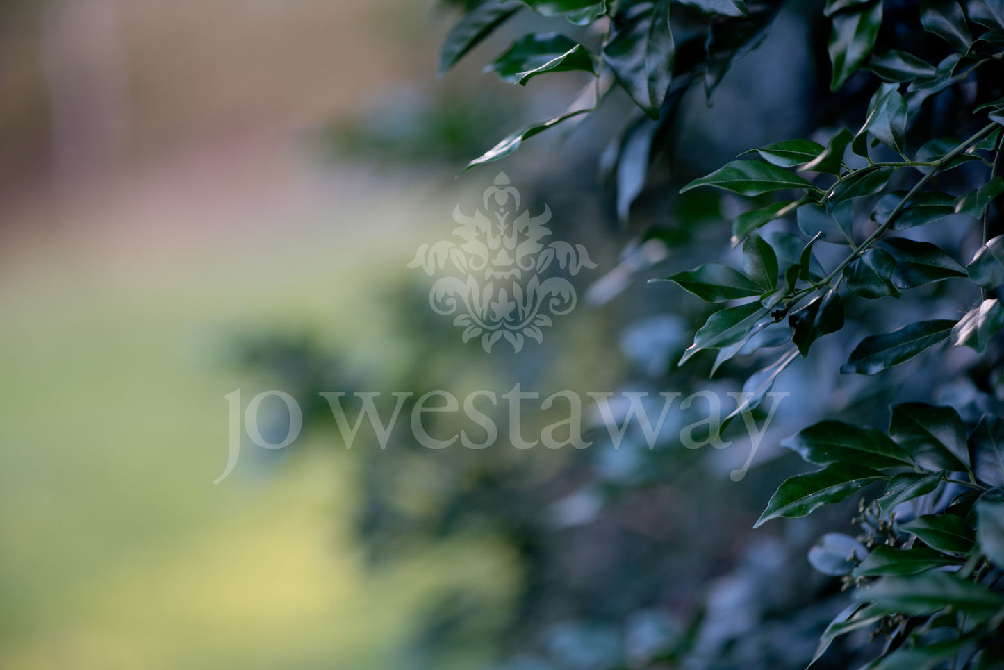 Jo Westaway stock: 190525-121