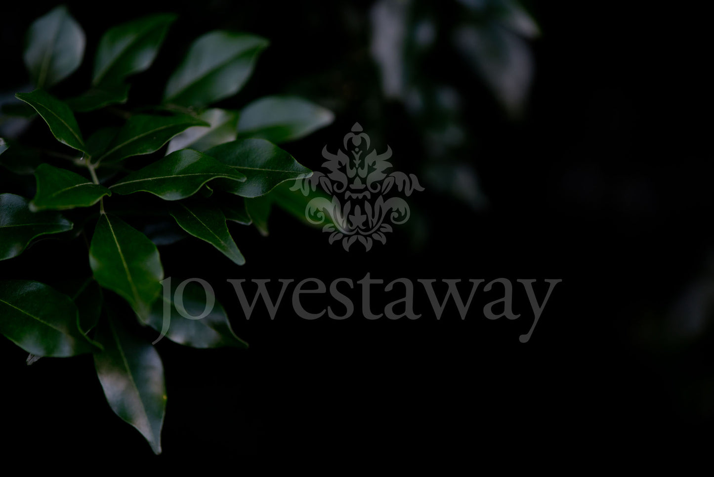 Jo Westaway stock: 190525-127