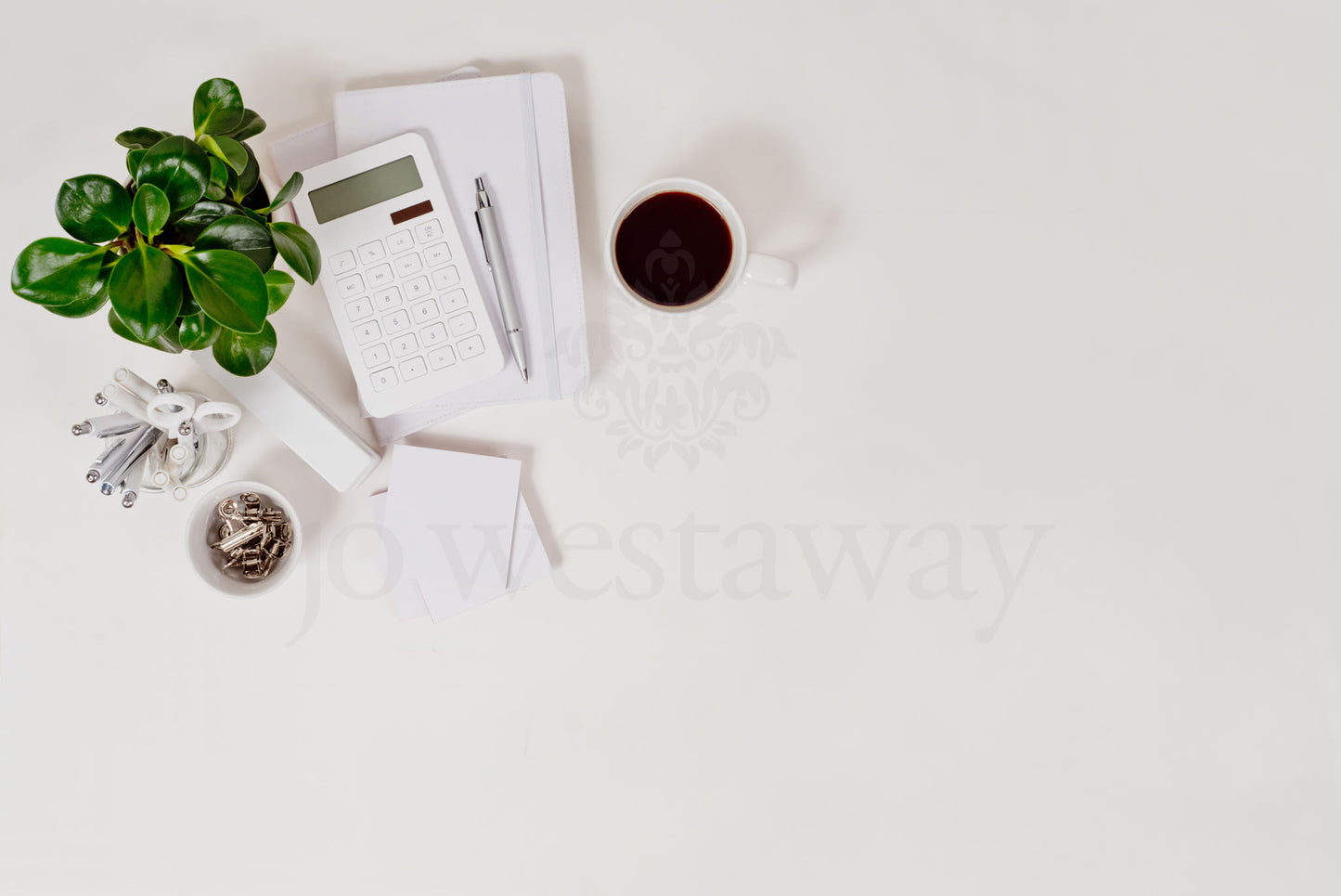 Jo Westaway stock: 190317-019