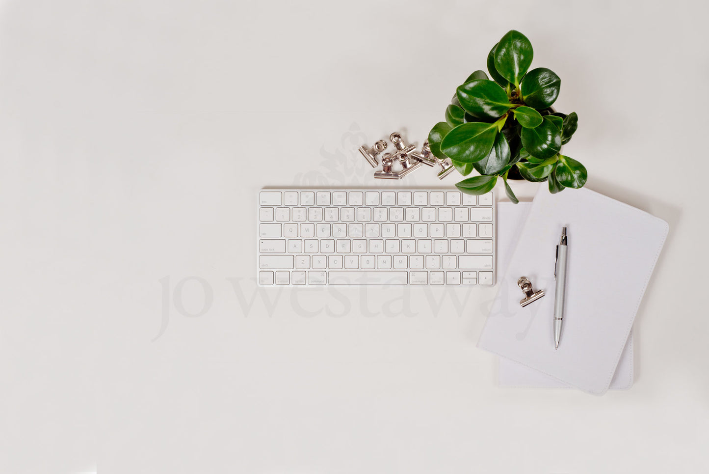Jo Westaway stock: 190317-058