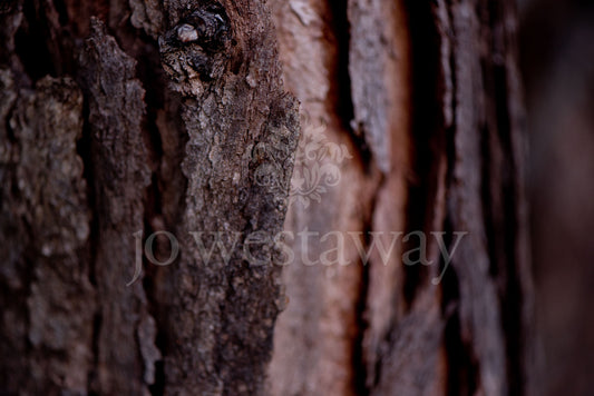 Jo Westaway stock: 190525-062