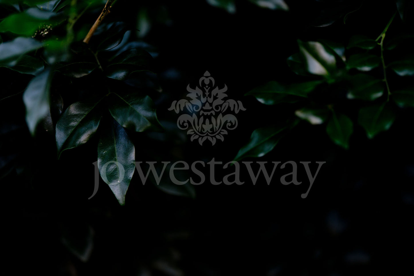 Jo Westaway stock: 190525-130